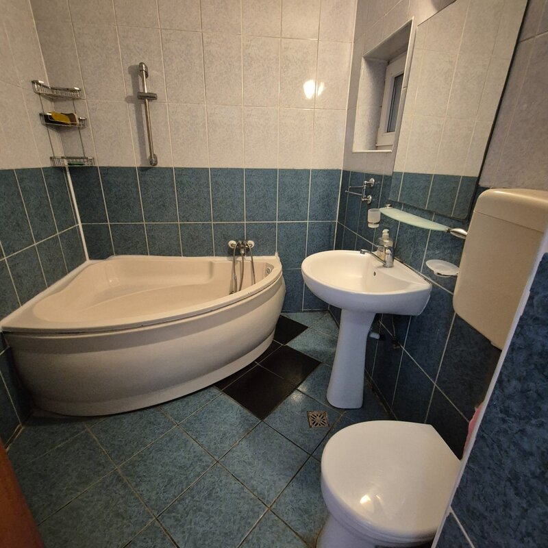 Lacul Tei, Parcul Circului